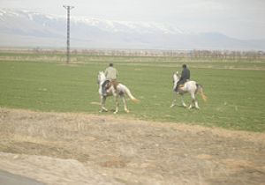 Erzurum ovasında yapılaşma tehditi